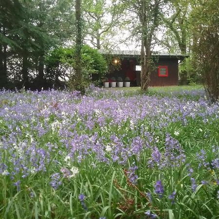 Caban Cwtch Villa Cenarth Bagian luar foto