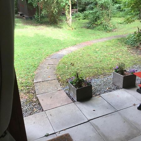 Caban Cwtch Villa Cenarth Bagian luar foto