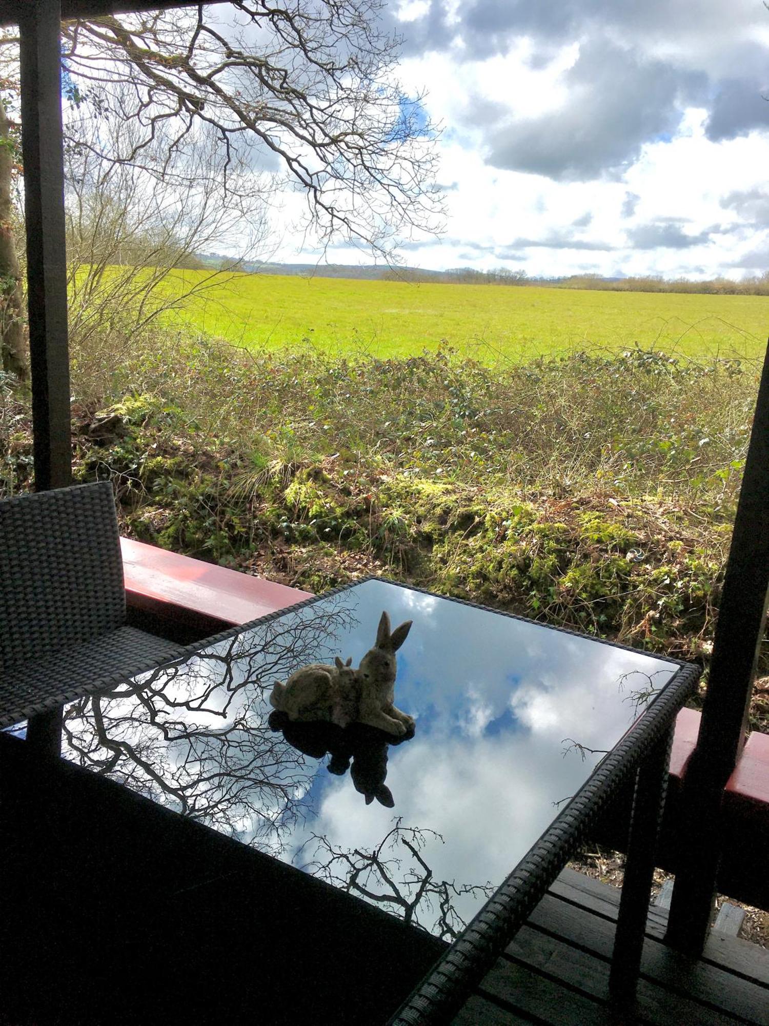 Caban Cwtch Villa Cenarth Bagian luar foto